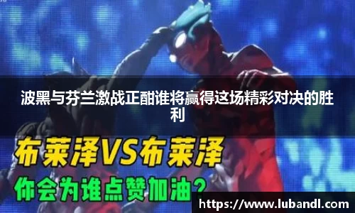 波黑与芬兰激战正酣谁将赢得这场精彩对决的胜利
